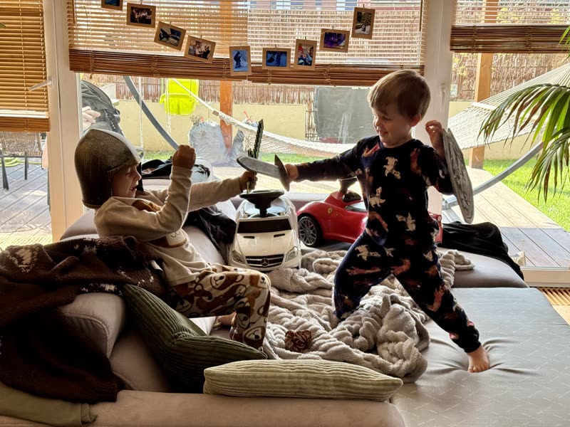 My sons play-fighting with toy swords and shields